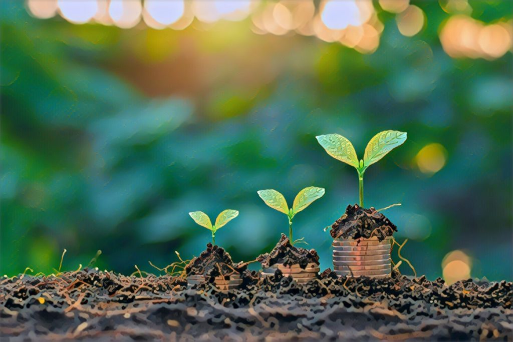 Three plants sprouting from the ground. 