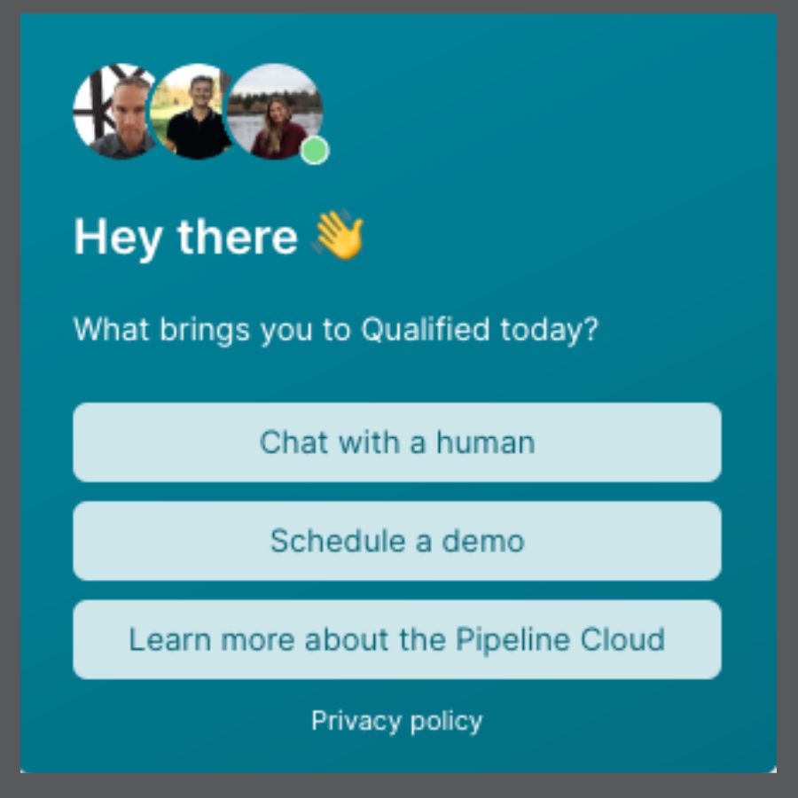 screenshot of a Qualified chatbot posing questions to a website visitor